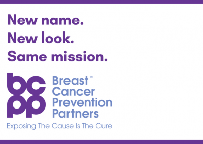 We Are Breast Cancer Prevention Partners (BCPP)