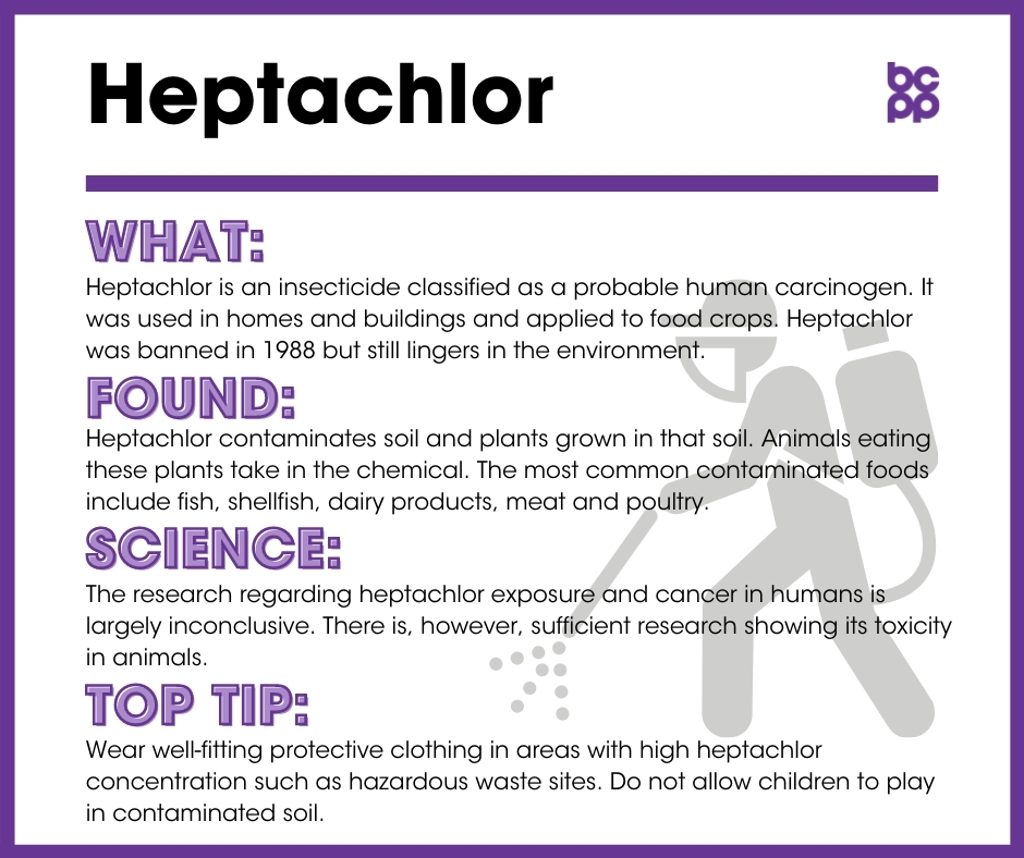 Heptachlor breast cancer prevention tip card infographic