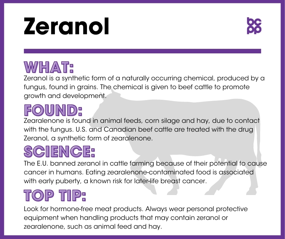 Zeranol breast cancer prevention tip card infographic