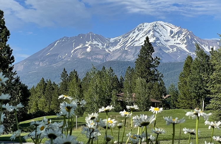 Bautiful day at Mt Shasta 6_15_2022