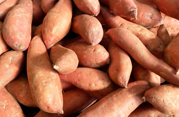 yams yams