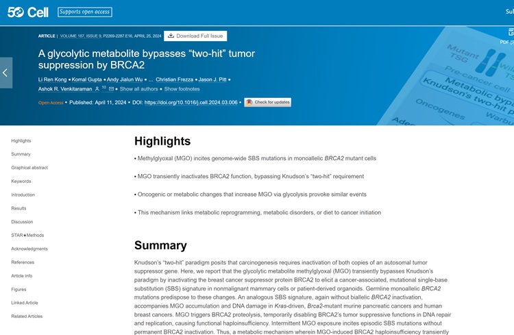 Glycolytic metabolite bypasses “two-hit” tumor suppression by BRCA2