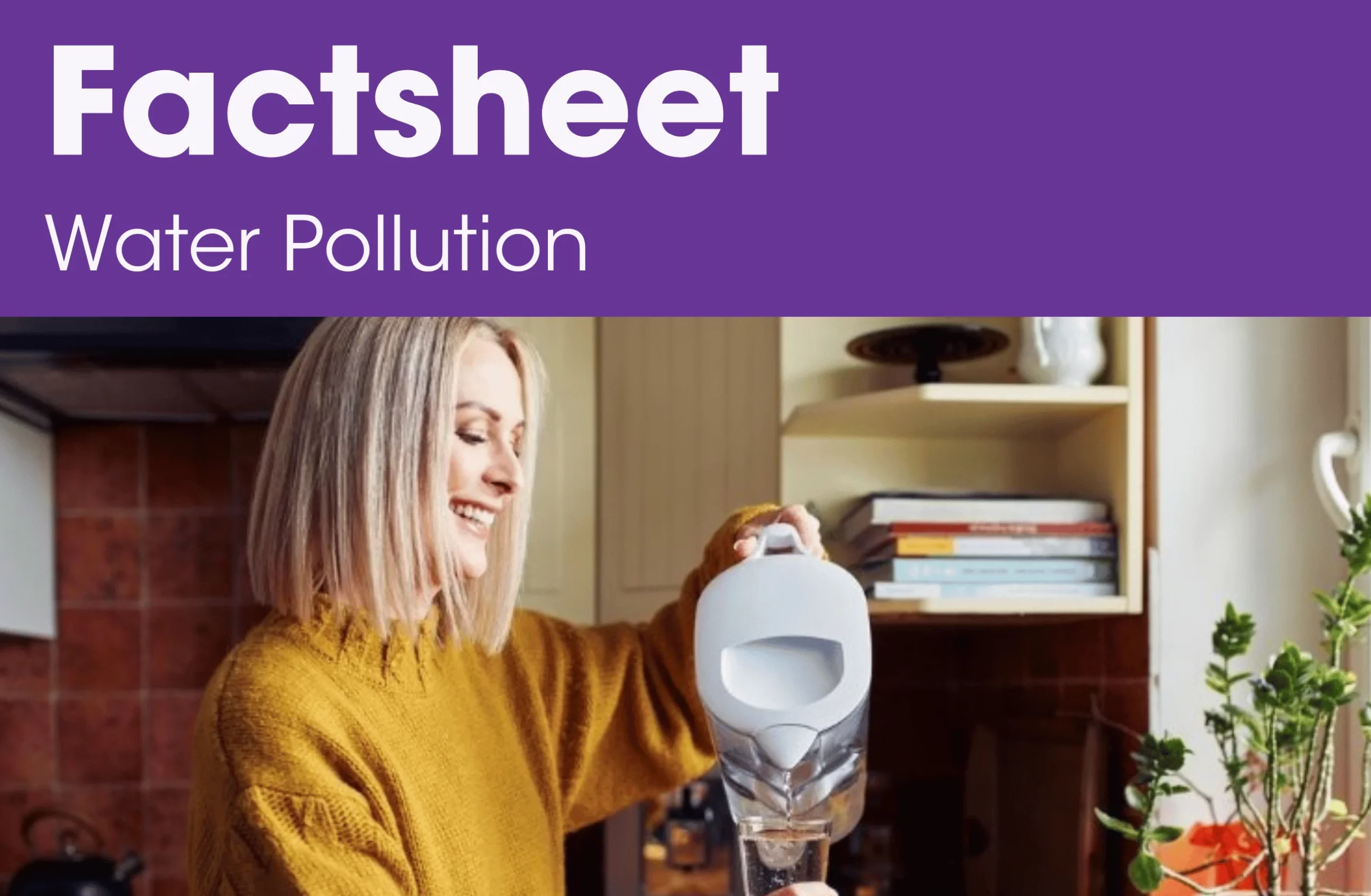 water factsheet