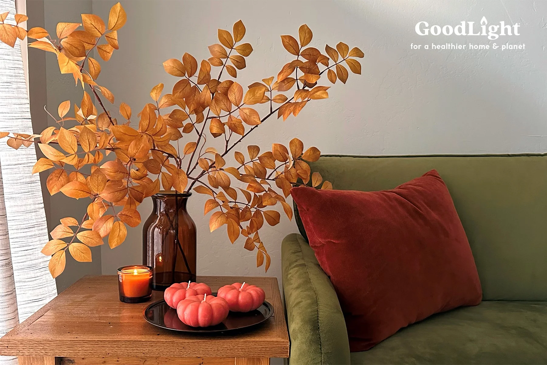 Good Light Photo for Oct. Guide