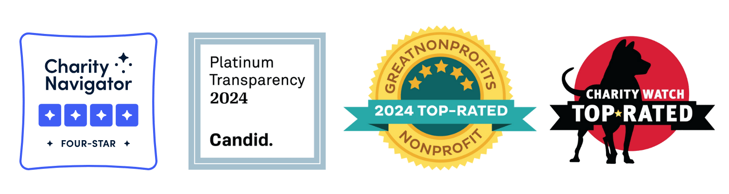 Four BCPP Charity Seals (Candid 2024, GreatNonprofits 2024, Charity Navigator 4 stars, and Top-rated Charity Watch)