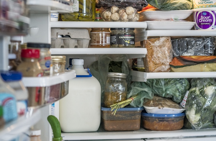 Fridge of Food