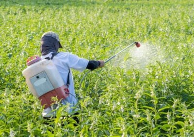 Broad Array of Nonprofits Tell U.S. Supreme Court Not to Grant Pesticide Companies Immunity from Cancer Warnings